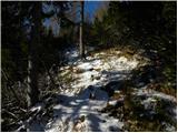 Planina Ravne - Kapelica na Molički planini